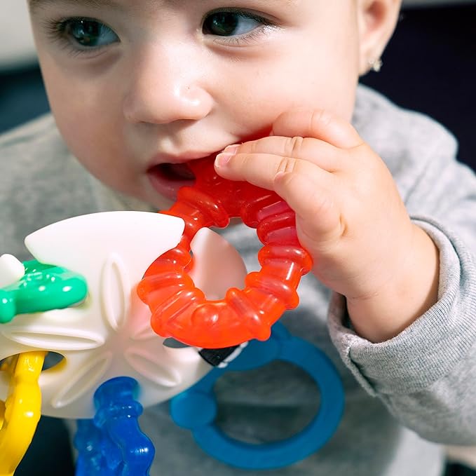 Baby Einstein Ocean Explorers Sea of Sensory Teether Toy BPA 3 Months
