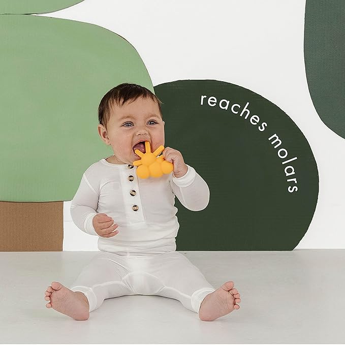Doddle & Co. The Chew Sunshine Teether with Poppable Bubbles | Toddler Teething Fidget Toy for Baby 1