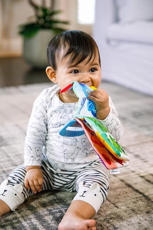 Baby Einstein Curious Explorers Teether Book Take-Along Toy, Ages Newborn +
