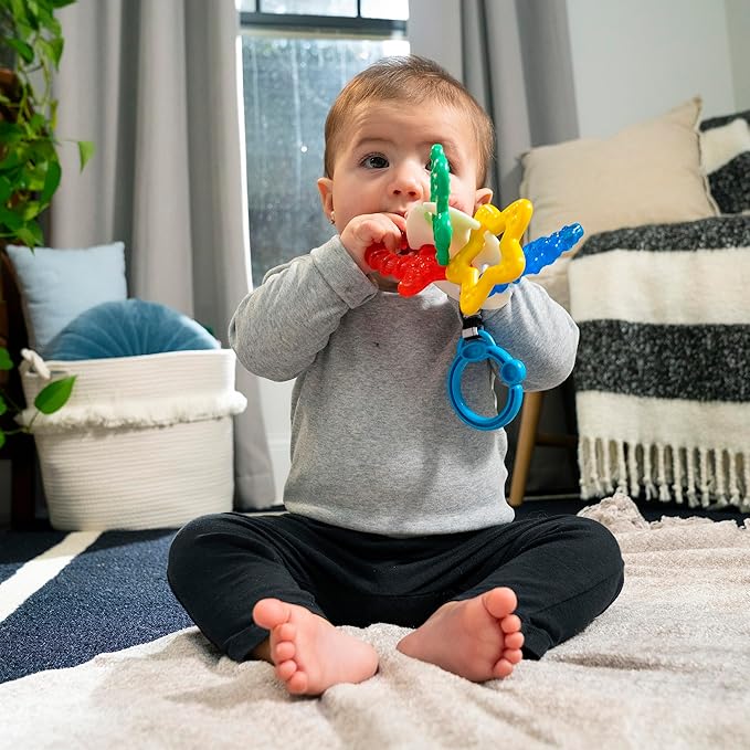 Baby Einstein Ocean Explorers Sea of Sensory Teether Toy BPA 3 Months