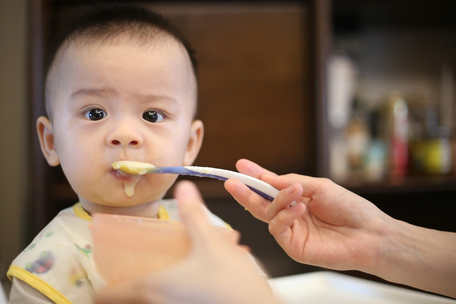 Baby-feeding-essentials-like-bottles-and-high-chairs-LittleNest-Shop