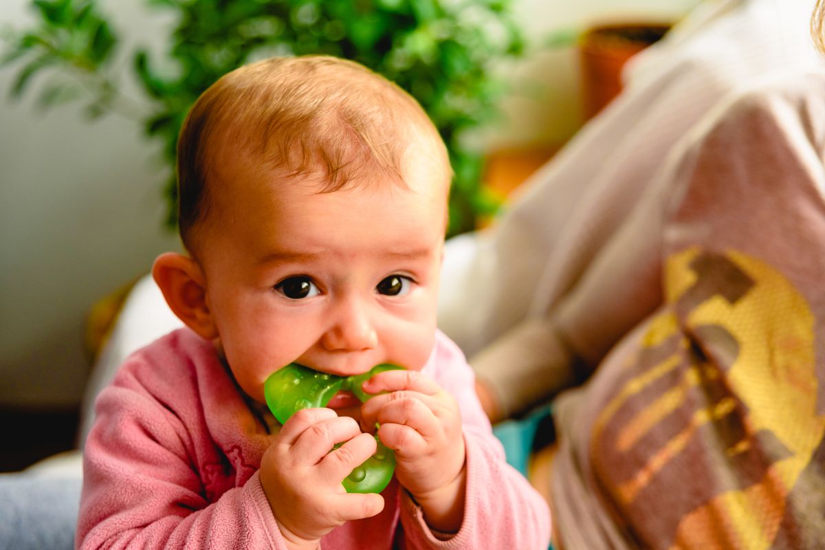 Baby-teething-relief-gel-and-soothing-teether-toy-from-LittleNest