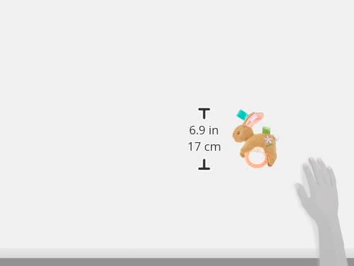 Taggies Teether Baby Rattle, 6"