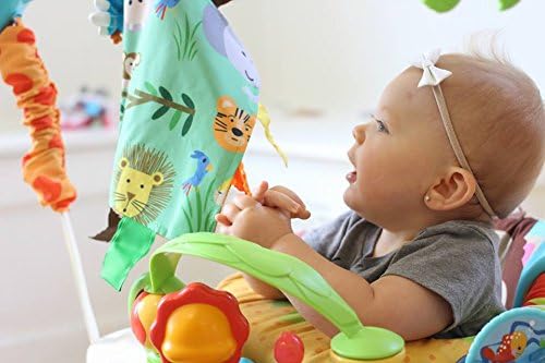 Baby Jack & Co 8x8??Jungle Lovey Tag Toys for Babies - Baby Crinkle Toys
