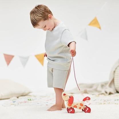 (1, 40 x 40 cm) - Hape E0347 Pepe Pull Along