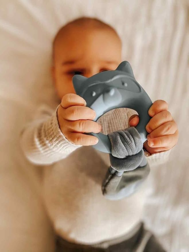 Mary Meyer Teething Toys Leika Silicone Baby Teether for Babies 0-12 Months, 9-Inches