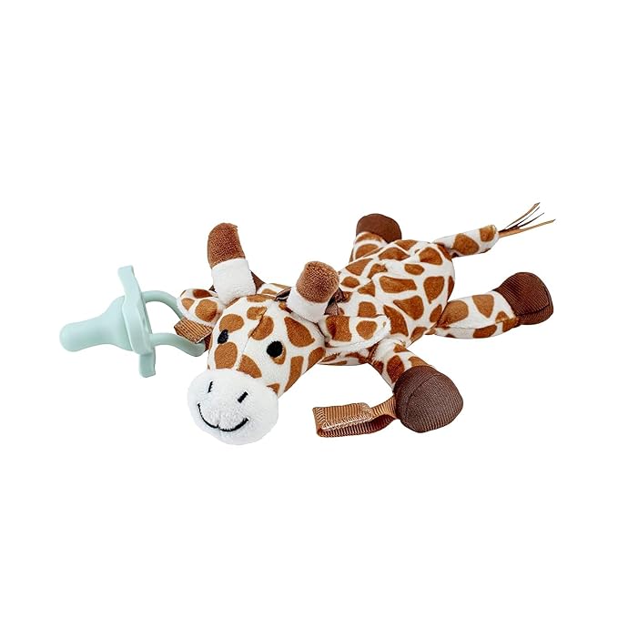 Dr. Brown's Lovey Pacifier and Teether Holder, 0 Months Plus
