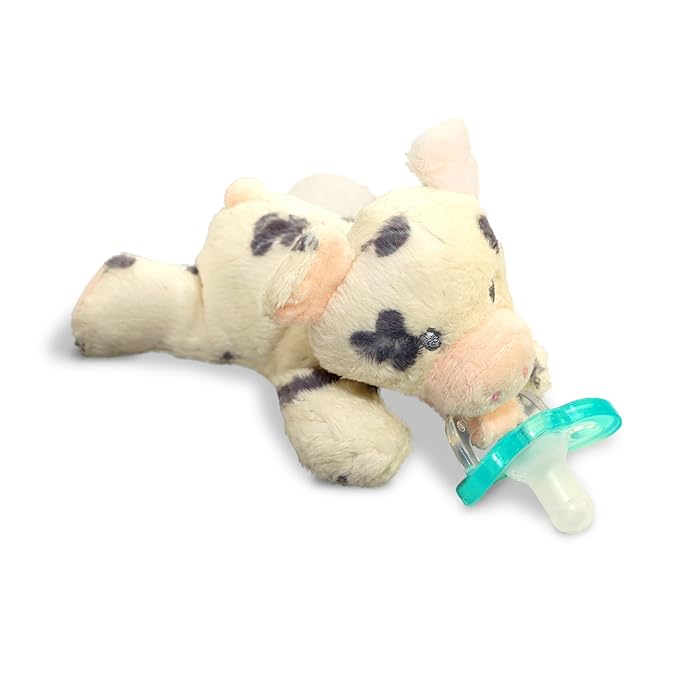 RaZbaby JollyPop Pacifier, Holder w/Detachable Baby Pacifier 0M+, 100%