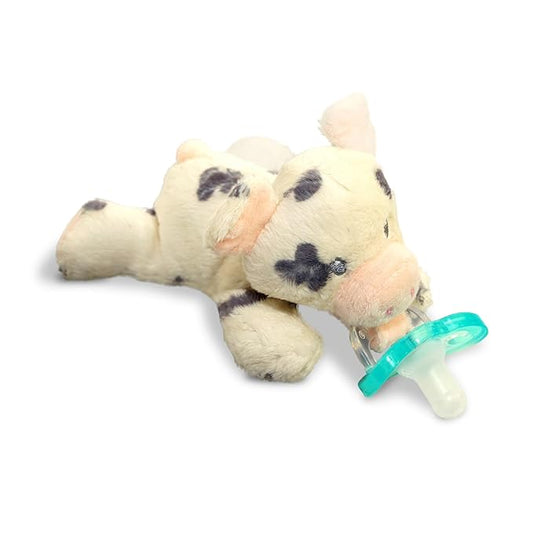 RaZbaby JollyPop Pacifier, Holder w/Detachable Baby Pacifier 0M+, 100%