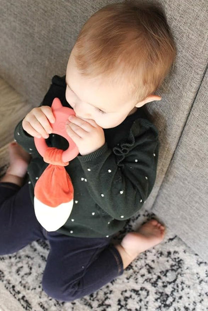 Mary Meyer Teething Toys Leika Silicone Baby Teether for Babies 0-12 Months, 9-Inches
