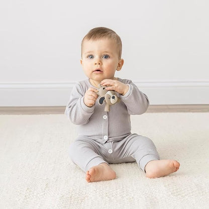 Itzy Ritzy - Ritzy Teether for Molars 3 Months