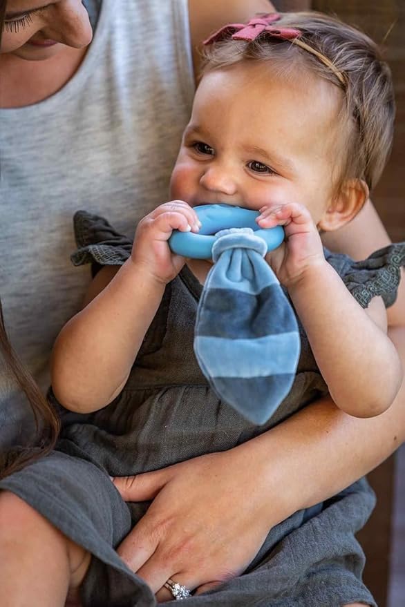 Mary Meyer Teething Toys Leika Silicone Baby Teether for Babies 0-12 Months, 9-Inches