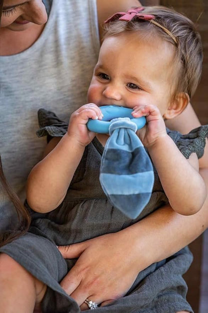 Mary Meyer Teething Toys Leika Silicone Baby Teether for Babies 0-12 Months, 9-Inches
