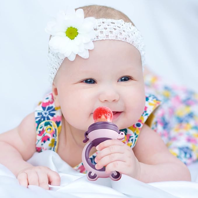 Baby Solids/Frozen Fruit Feeder Pacifier, Infant Teether Toy 4M+ 2-Pack (Bear
