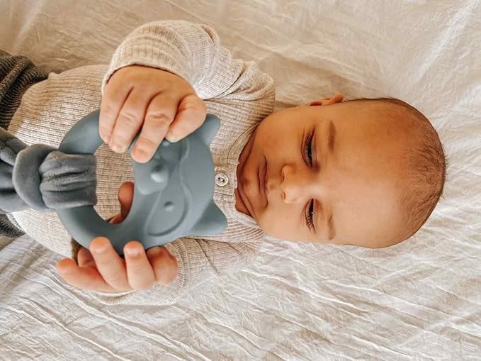 Mary Meyer Teething Toys Leika Silicone Baby Teether for Babies 0-12 Months, 9-Inches