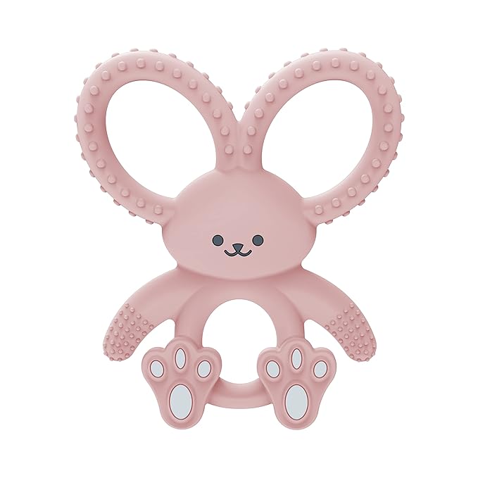Dr. Brown's Flexees Pink Bunny Silicone Baby Teether, BPA Free 3m+ and 2 Pack, 3m+ Bundle