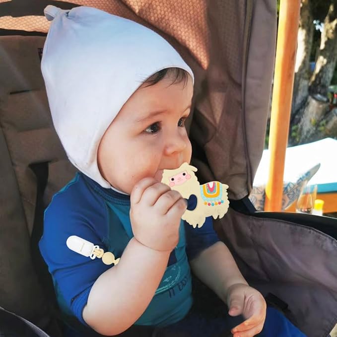Baby Teething Toys,Food Grade Silicone Teether with One-Piece Pacifier Clip Holder 3 Months+