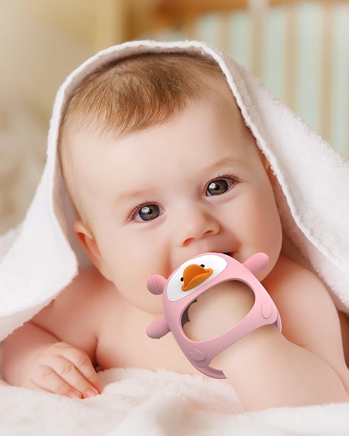 Teething Toys for Babies 0-6 Months, Never Drop Silicone Baby Teether