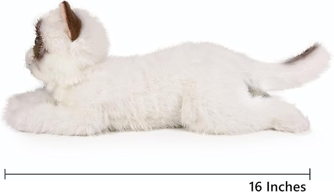 Ice King Bear 16" Realistic Ragdoll Cat Stuffed Animal 2lb