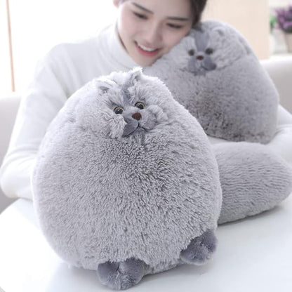Winsterch Kids Cat Stuffed Animals Plush Cat Toy Birthday Gifts for Boys,Plush Cat Stuffed Animals Baby Doll 10 Inches)