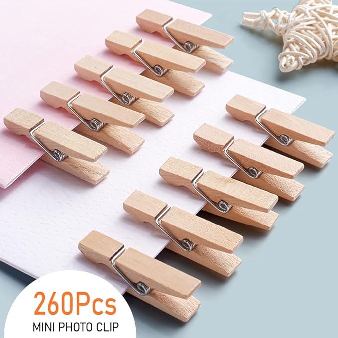 Mini Clothes Pins, 260 PCS Small Wooden Clothes Pins with Jute Twine