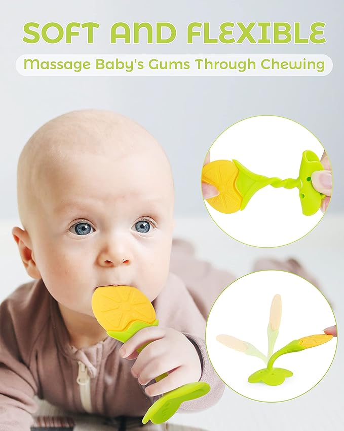 Teething Toys for Babies, 10 Pack Silicone Baby Teethers