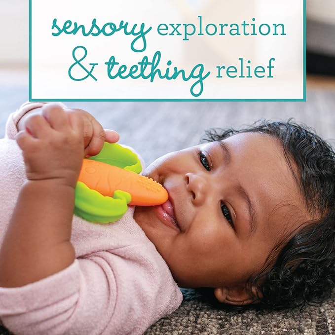 Infantino 3-Pack Water Teethers & Lil' Nibbles Textured Silicone Baby Teether - Sensory Exploration and Teething Relief with Easy to Hold Handles, Orange Carrot 0+ Months