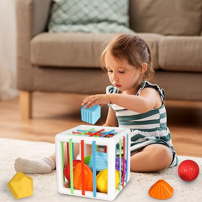 Shape Sorter Baby Toys Sensory Montessori Toys Developmental Toys Colorful 6 Sensory