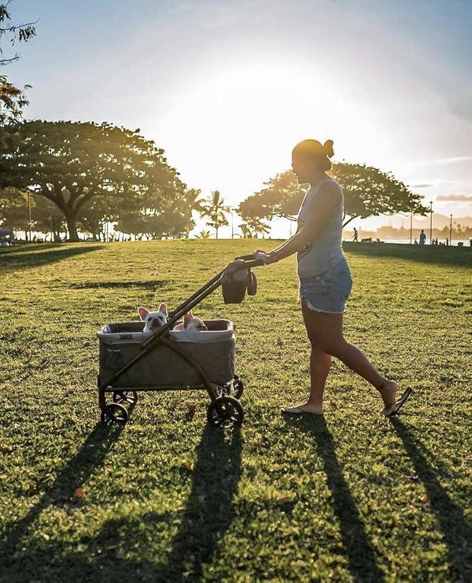 Baby Trend Expedition 2-in-1 Stroller Wagon PLUS, Ultra Marine
