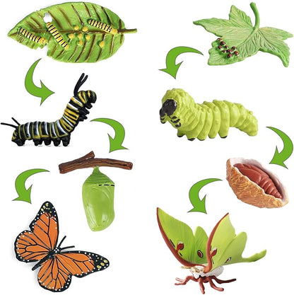 iftnotea 8PCS Monarch Butterflies Life Cycle Toy Figurines for Kids 3 4 5 6