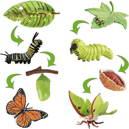 iftnotea 8PCS Monarch Butterflies Life Cycle Toy Figurines for Kids 3 4 5 6