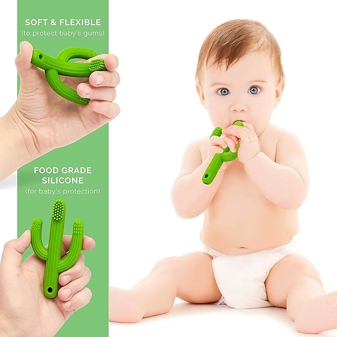 Cactus Teether, Baby Teething Toys for Babies 0-6 Months 6-12 Months