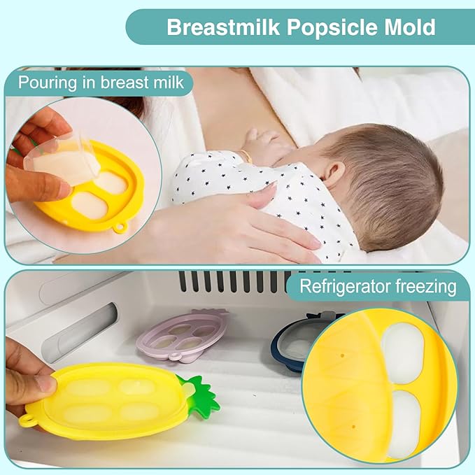 Baby Fruit Feeder with Mini Freezer Tray, Baby Teethers