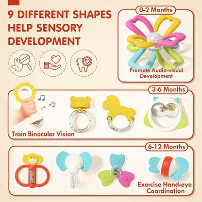 Baby Toys - 9pcs Silicone Baby Teething Toys Teethers, Rattles for Babies 0-6 Months 0-3-6-12 Months