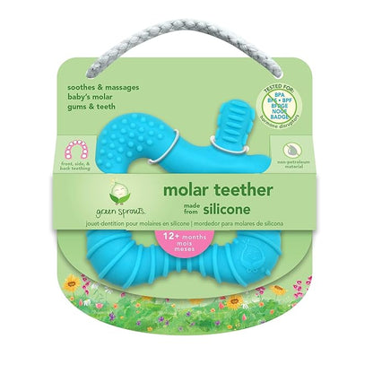 green sprouts Molar Teether Made from Silicone | Soothes & Massages Baby's Molar Gums & Teeth 1 Count 2)