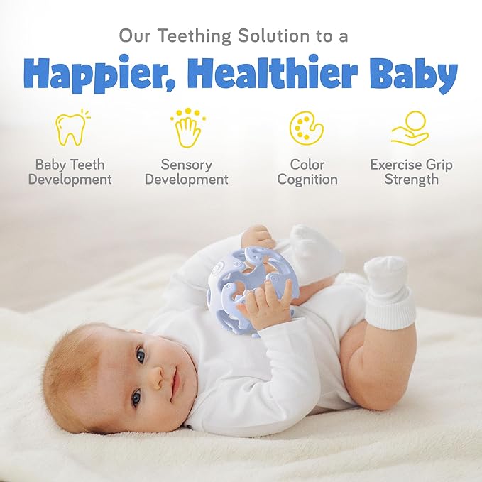 Ashtonbee Baby Fruit Pacifer Feeder 2 Pack Perfect for Introducing 6-12 Months