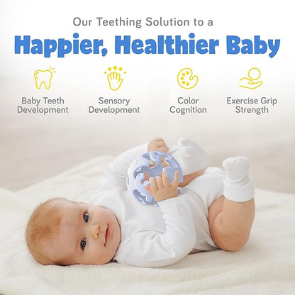 Ashtonbee Baby Fruit Pacifer Feeder 2 Pack Perfect for Introducing 6-12 Months