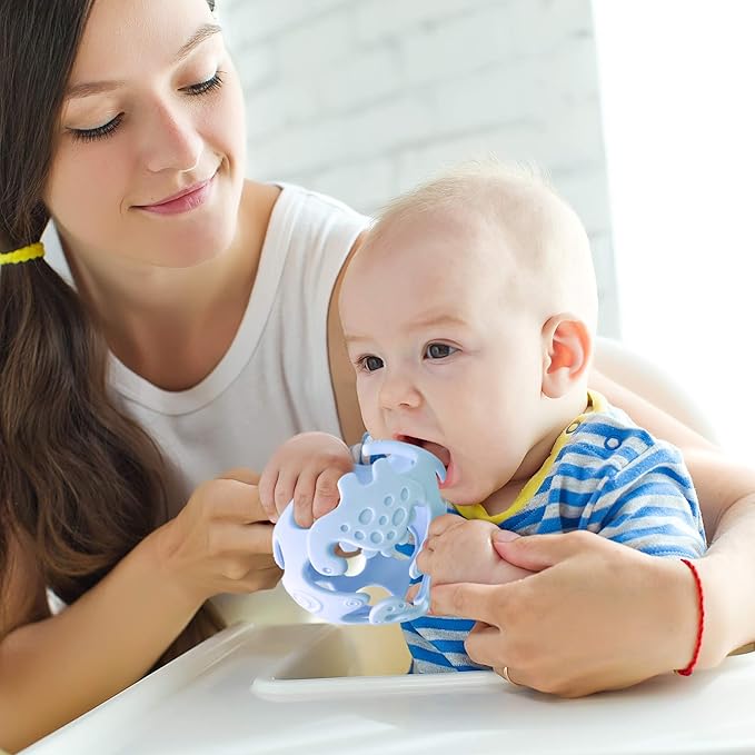 Ashtonbee Baby Fruit Pacifer Feeder 2 Pack Perfect for Introducing 6-12 Months