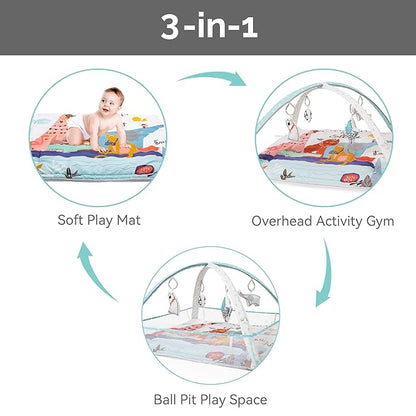 LADIDA Baby Play Gym, Activity Mat with Ball Pit 3 Stage 10 Balls)