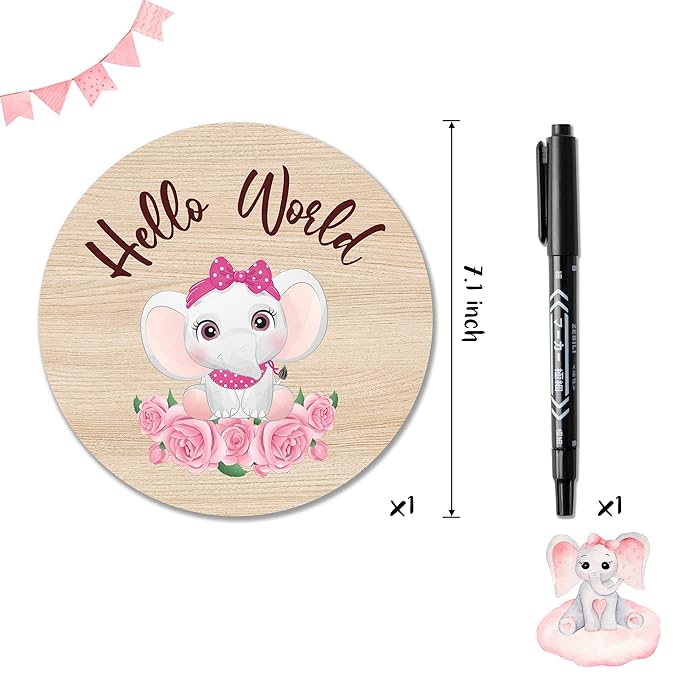 R HORSE Baby Birth Announcement Sign with Maker Pen Hello