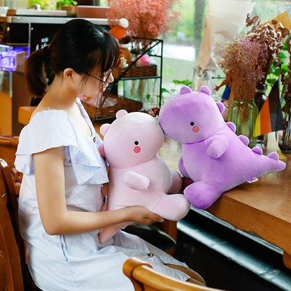 VHYHCY Cute Dinosaur Plush Toys, Fat Dinosaur Stuffed Animals Toys Dolls 12 inch