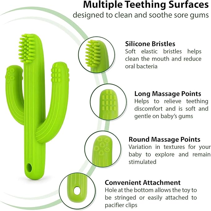 Cactus Teether, Baby Teething Toys for Babies 0-6 Months 6-12 Months