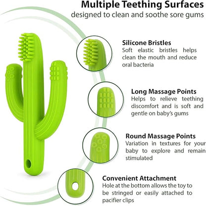 Cactus Teether, Baby Teething Toys for Babies 0-6 Months 6-12 Months