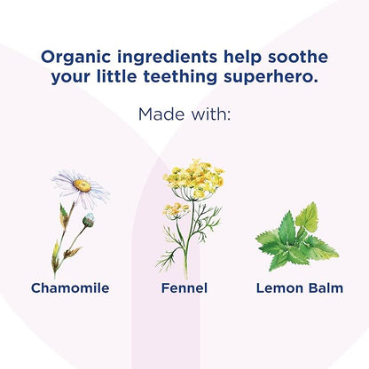 Hyland's Baby - Organic Daytime & Nighttime Soothing Drops Combo 2 oz.