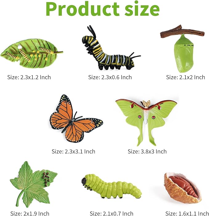 iftnotea 8PCS Monarch Butterflies Life Cycle Toy Figurines for Kids 3 4 5 6