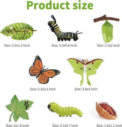 iftnotea 8PCS Monarch Butterflies Life Cycle Toy Figurines for Kids 3 4 5 6
