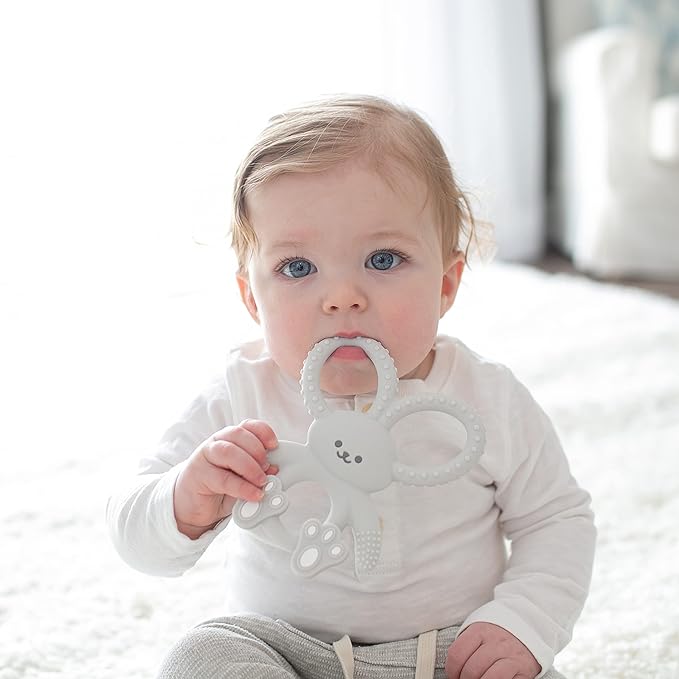 Dr. Brown's Flexees Gray & Pink Bunny Silicone Baby Teethers, BPA Free 3 Months+