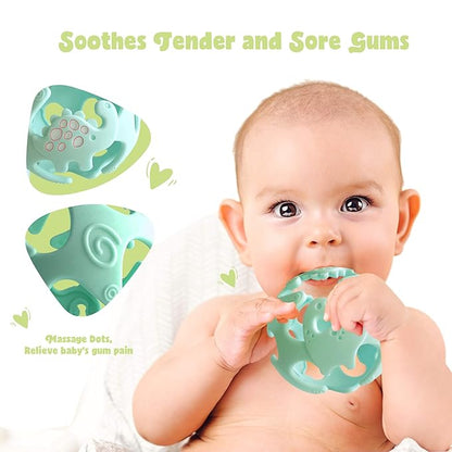 Ashtonbee Baby Fruit Pacifer Feeder 2 Pack Perfect for Introducing 6-12 Months