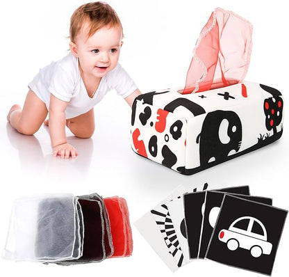 Baby Toys 6 to 12 Months - Baby Tissue Box Toy 1 Year
