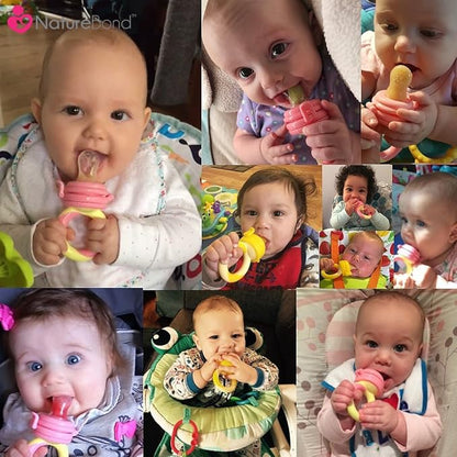 NatureBond Baby Food Feeder/Fruit Feeder Pacifier Nibbler (2 Pack) -